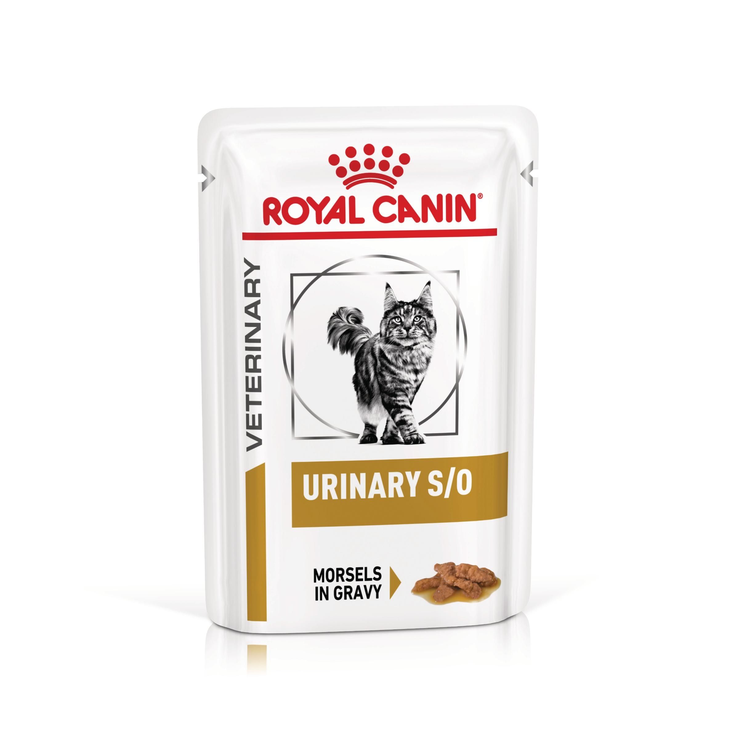 PLIC PISICA ROYAL CANIN VETERINARY URINARY S/O 85GR