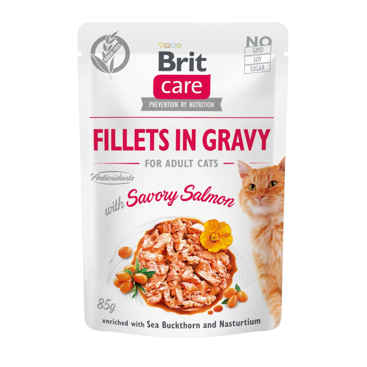 PLIC PISICA BRIT CARE SOMON 85GR