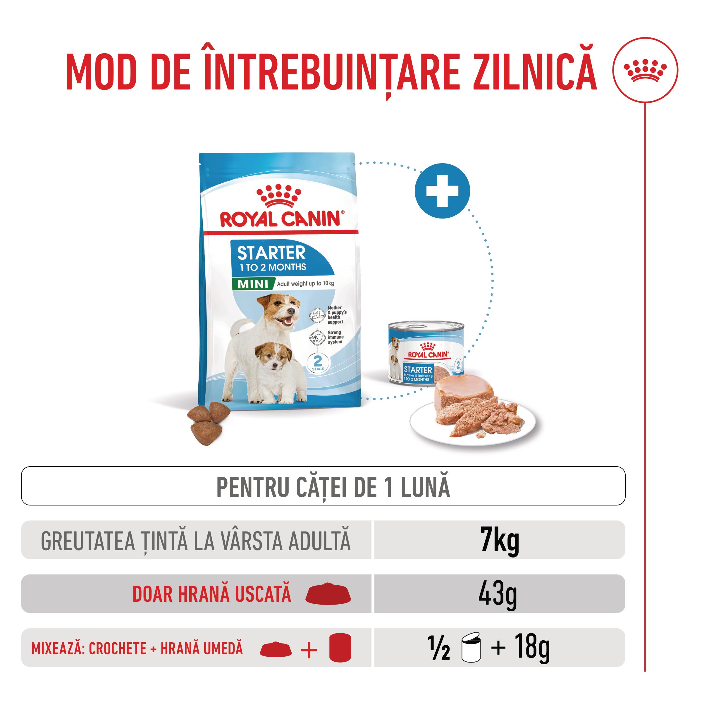 ROYAL-CANIN-Mini-Starter-Mother-and-Babydog-mama-si-puiul-hrana-uscata-caini-ghid-hranire-1