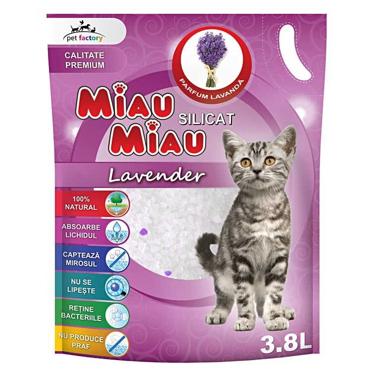 ASTERNUT SILICATIC MIAU MIAU LAVANDA 5L