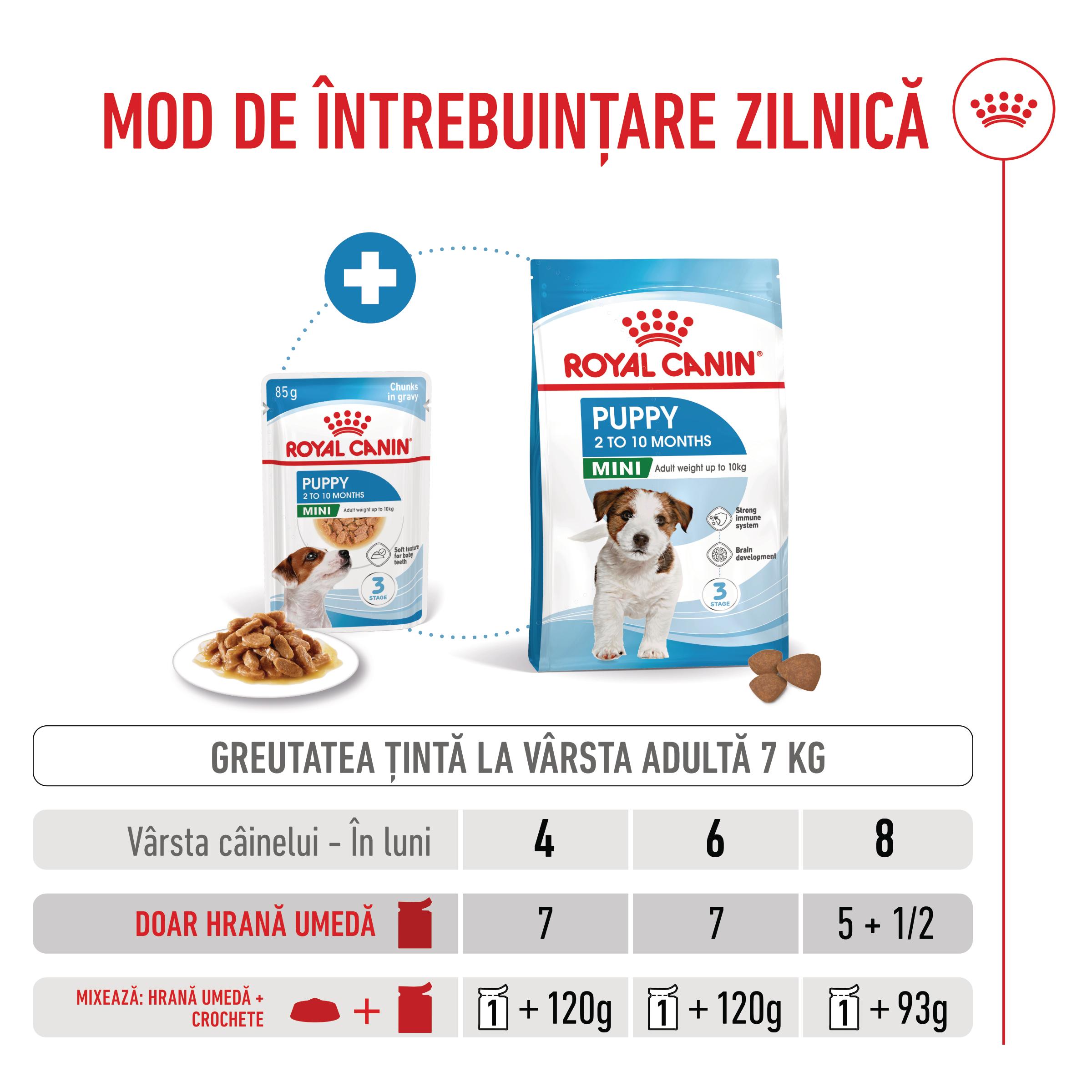 ROYAL-CANIN-Mini-Puppy-hrana-umeda-caini-junior-in-sos--ghid-hranire-1