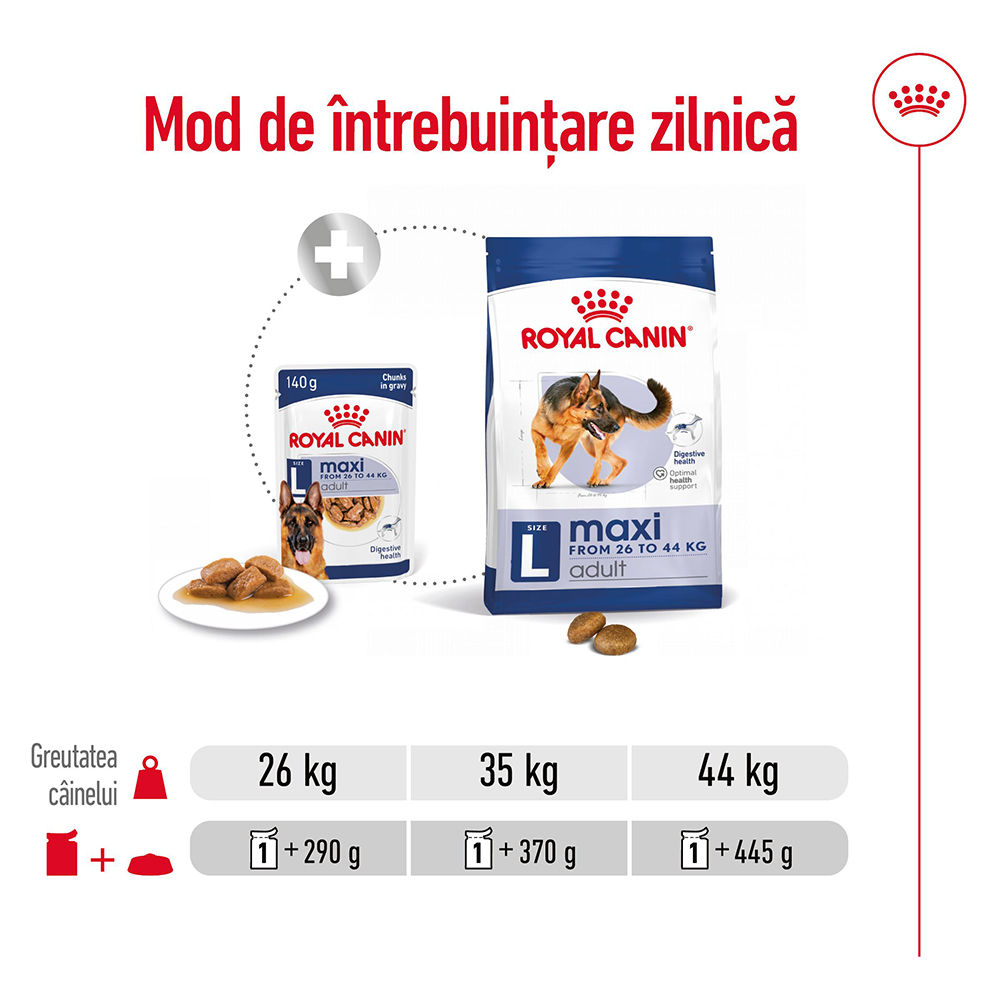 ROYAL-CANIN-Maxi-Adult-hrana-umeda-caini-in-sos--ghid-hranire