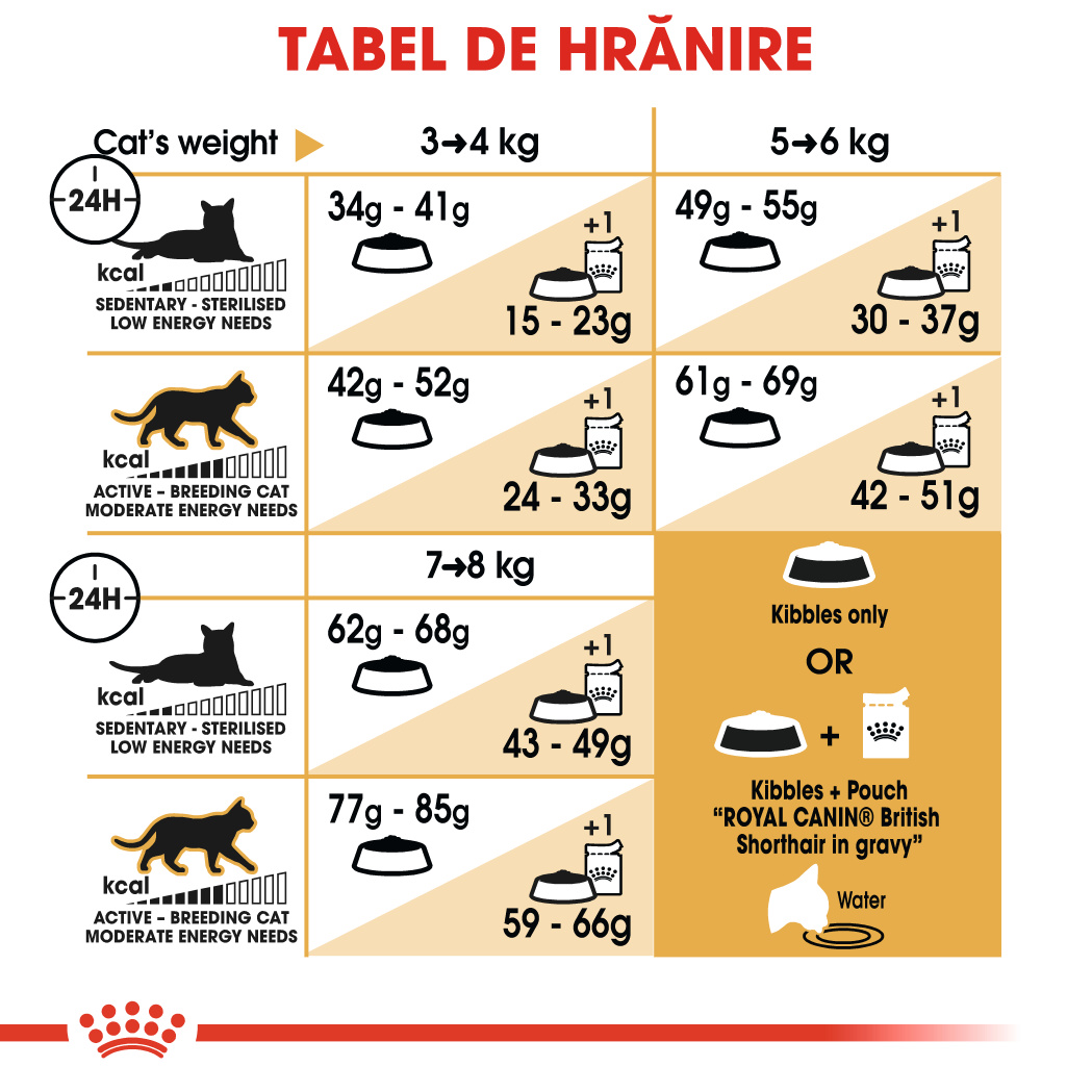 ROYAL-CANIN-British-Shorthair-Adult-hrana-uscata-pisici-ghidHranire