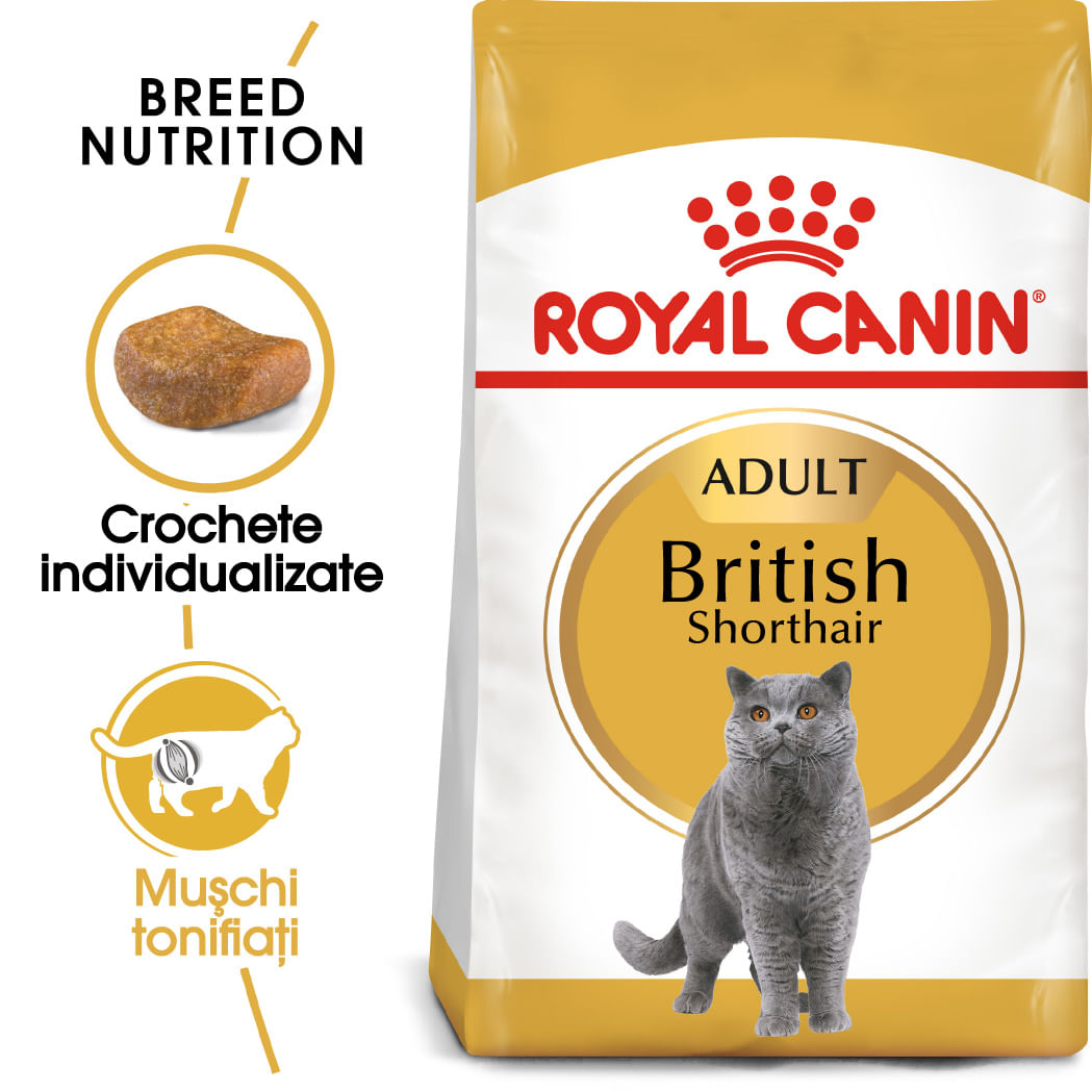 ROYAL CANIN PISICA ADULT BRITISH SHORTHAIR 400GR
