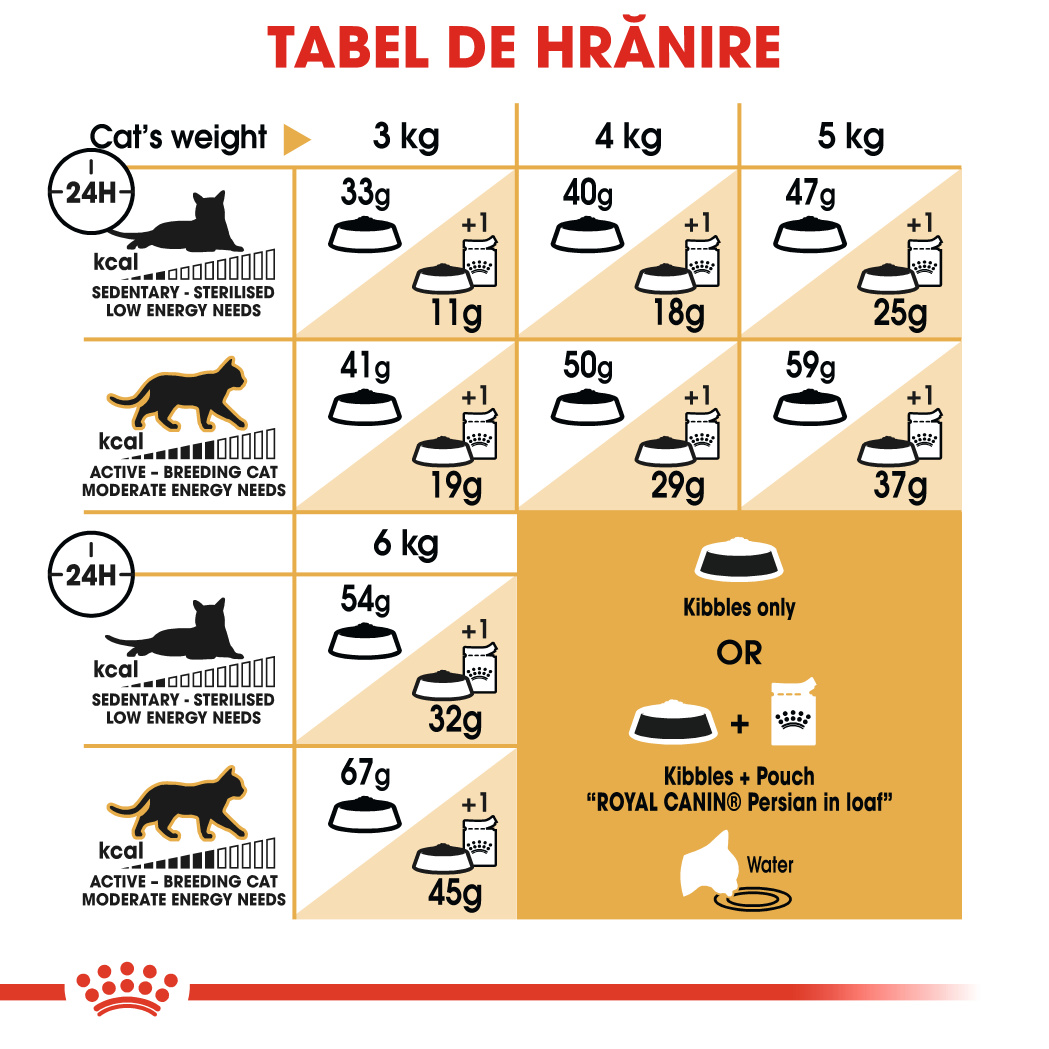 ROYAL-CANIN-Persian-Adult-hrana-uscata-pisici-ghidHranire