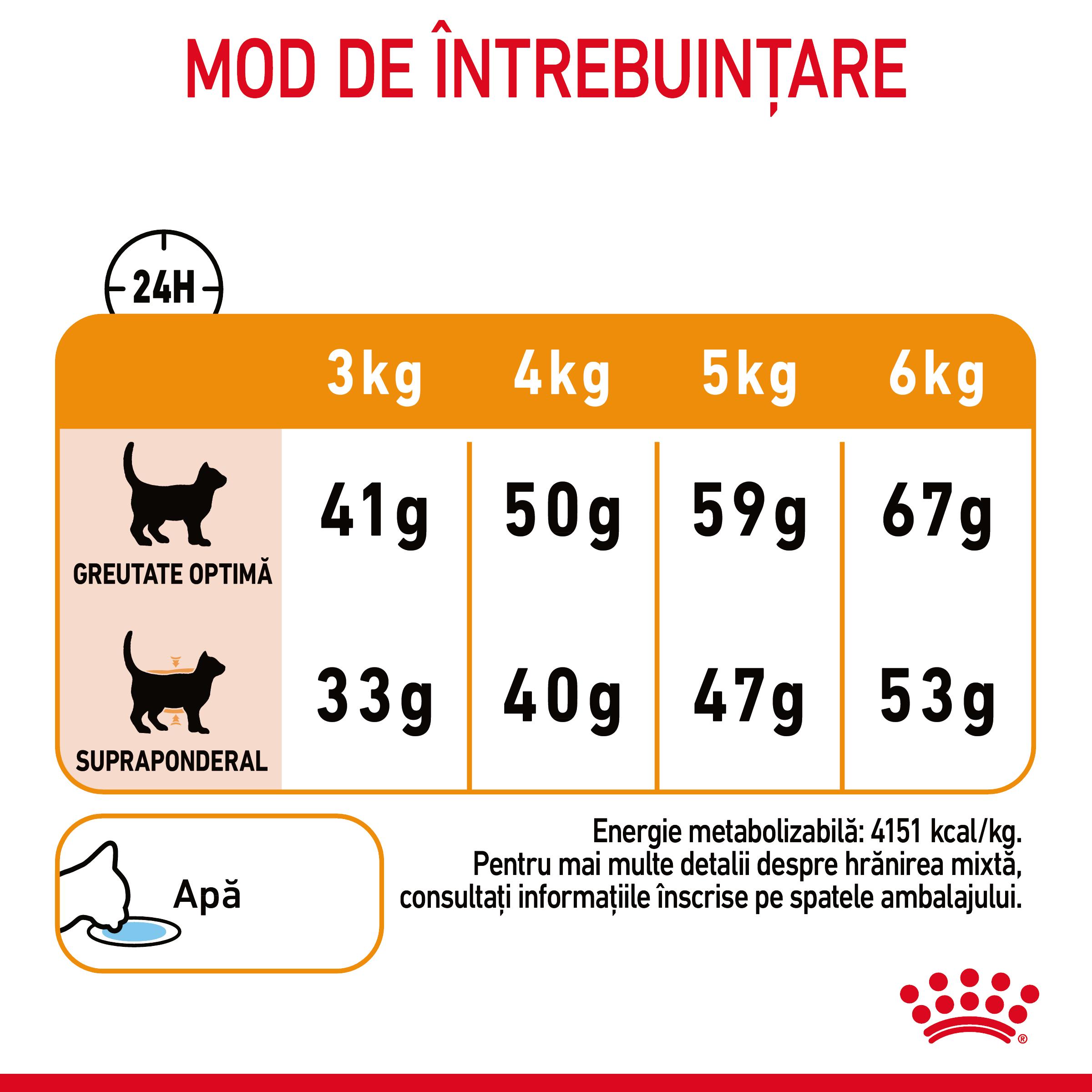 ROYAL-CANIN-Hair-and-Skin-Care-Adult-hrana-uscata-pisici-piele-and-blana-ghidHranire