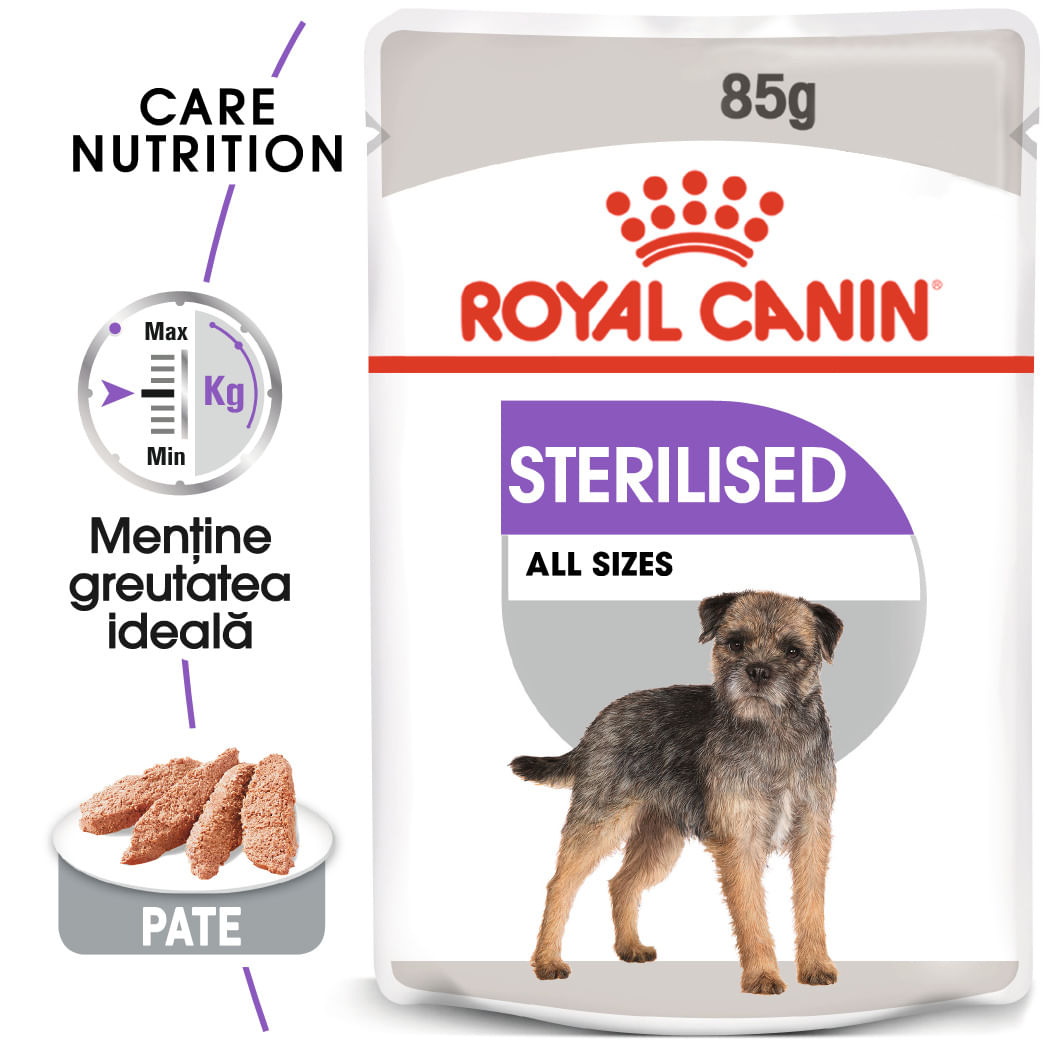 CCN STERILIZED LOAF 12X85G