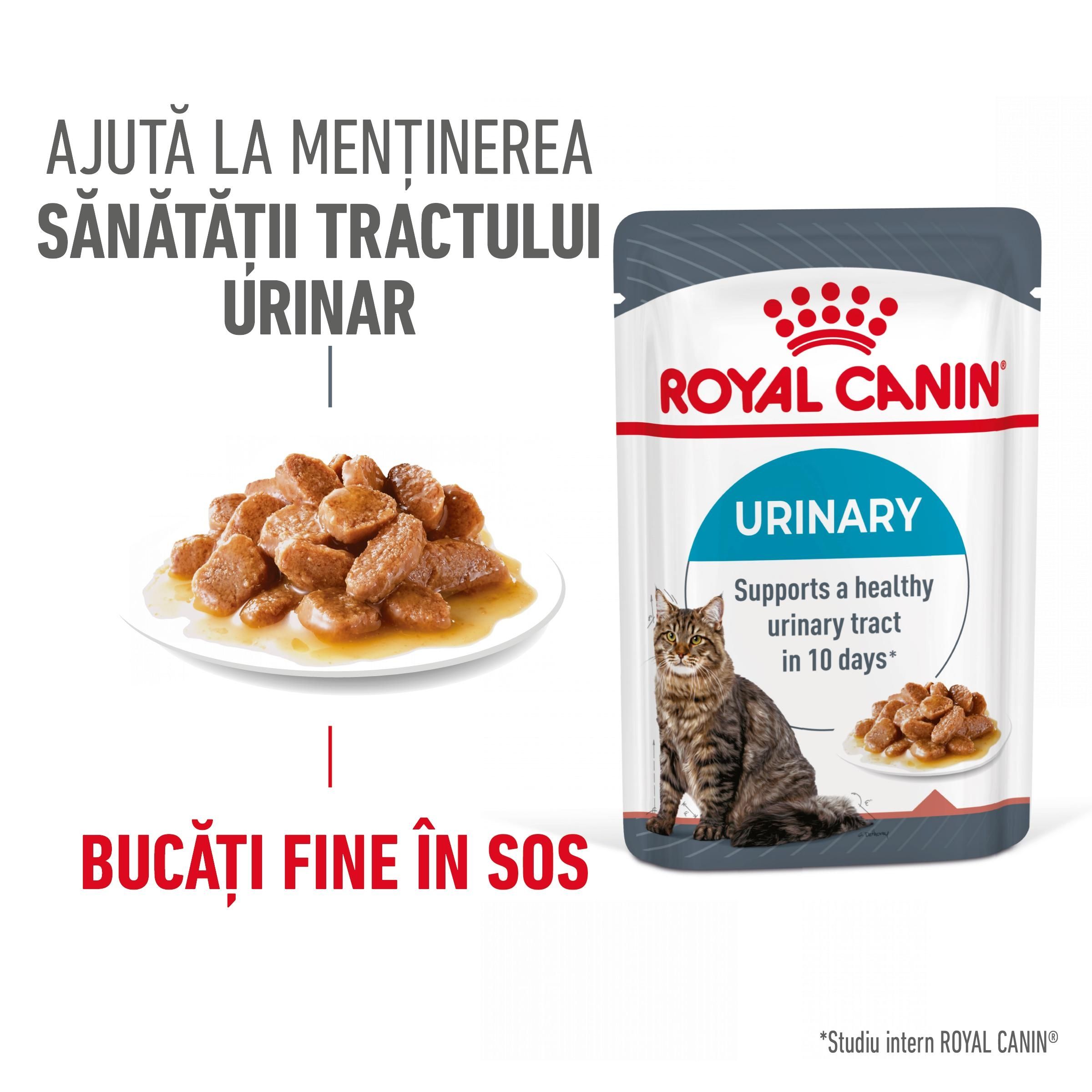 PLIC PISICA ROYAL CANIN CARE URINARY IN GRAVY 85GR